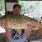 FB_IMG_1521186152266